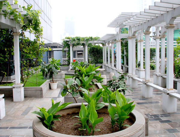 惠州屋顶花园景观绿化工程